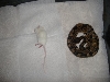 mouse too big??