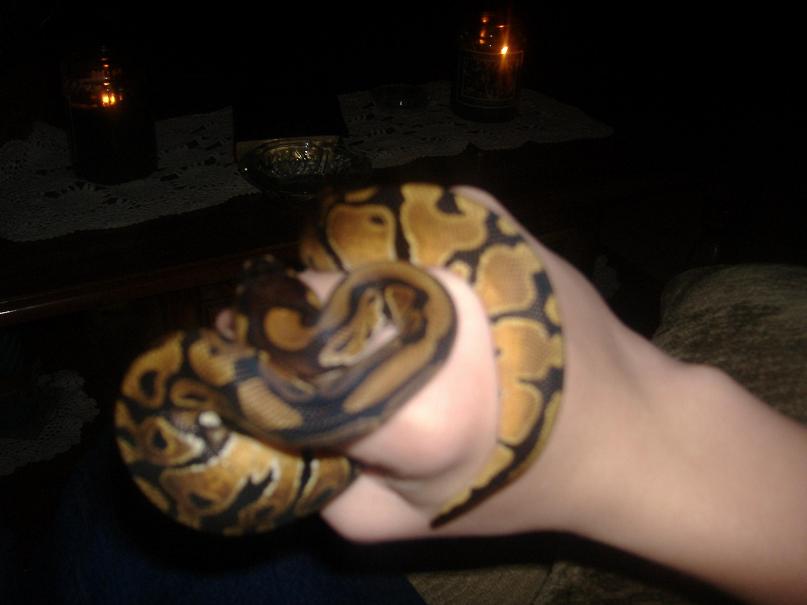 my new male!