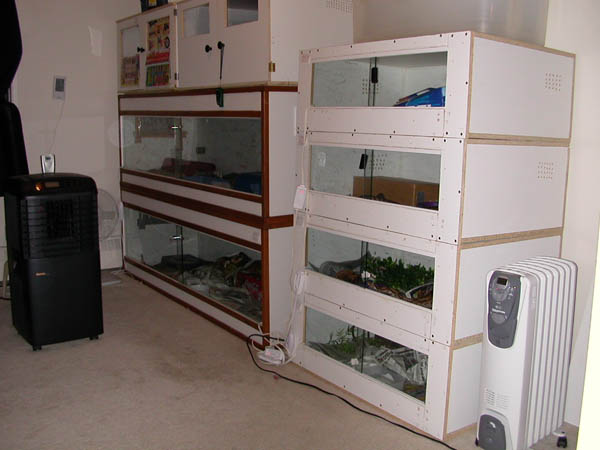 right side
