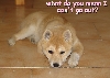 I am soooooooooo sad