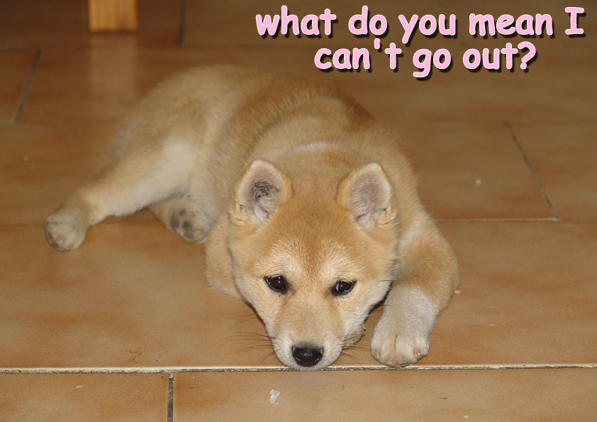 I am soooooooooo sad