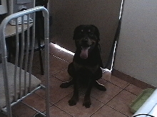 DracoPR
