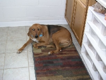 my watch dog!