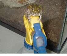 Takito on spray bottle