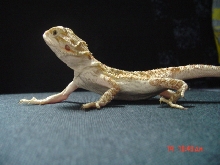 my first female