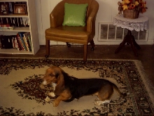 Douchie In The Living Room 1