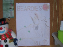 a pic  i drew of a bearded dragon