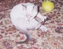 Yeah, I  fink dats mine..