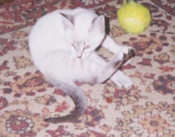 Yeah, I  fink dats mine..