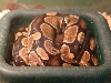 my baby playin' peek a boo