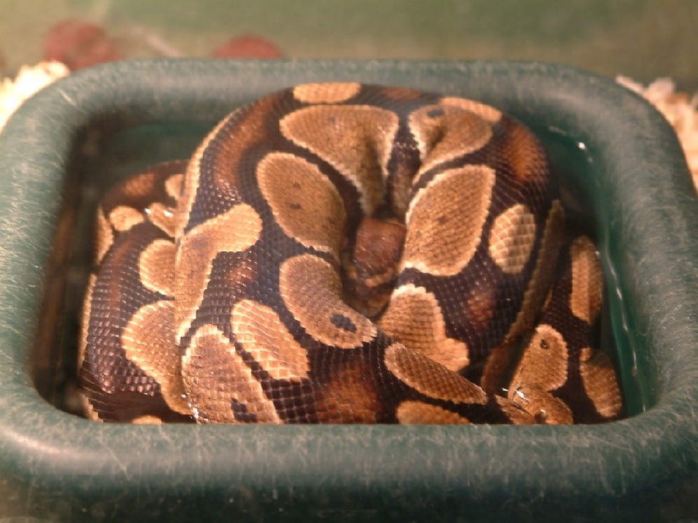my baby playin' peek a boo