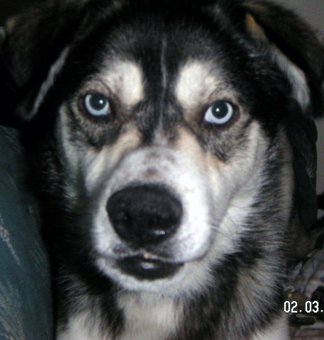 Keeba's closeup