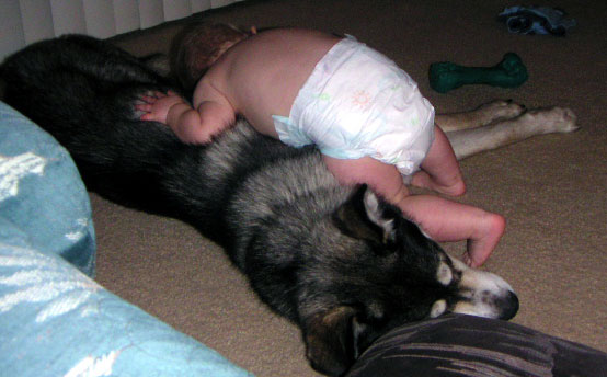 Awww...again