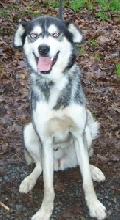 Keeba