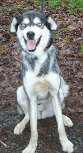 Keeba