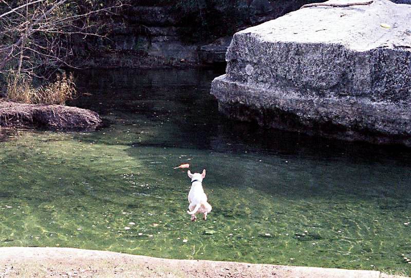 Jumping