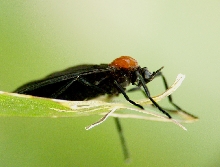 Love was in the air/grass!