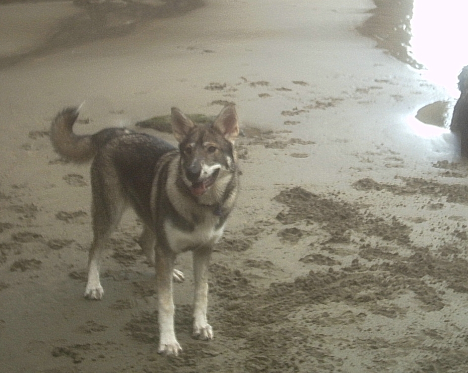 timba beach