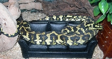 "Fluffy" Relaxing On His Couch