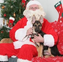 Darwin and the Claus
