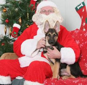 Darwin and the Claus
