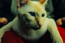 Rudy