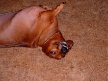 Diogee being cute