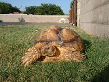 July 2005