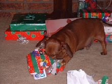 Gift Time