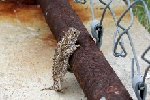 Lemme outta here!!