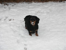 SNOW!