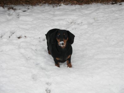 SNOW!