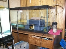 Scooter's new tank