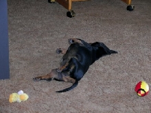 Crashed