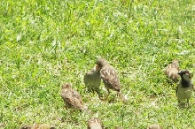 Feeding Time