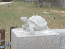 Turtle Statue