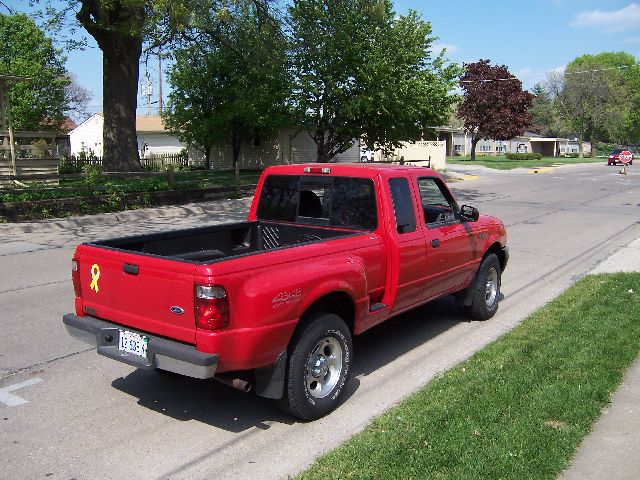 My whip