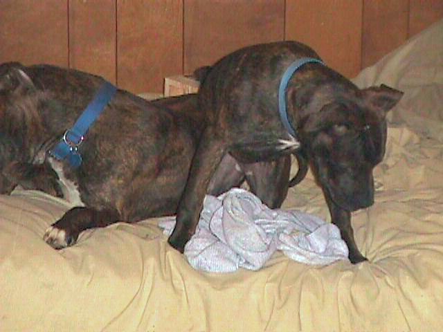 Butch & Karma 12/14/05