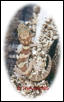 pictushatchling1