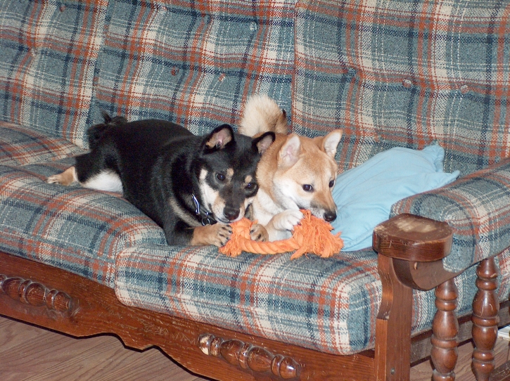 on the couch