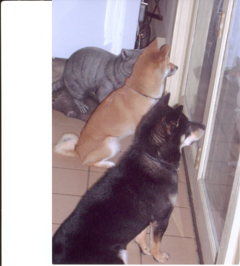 waiting for them again!