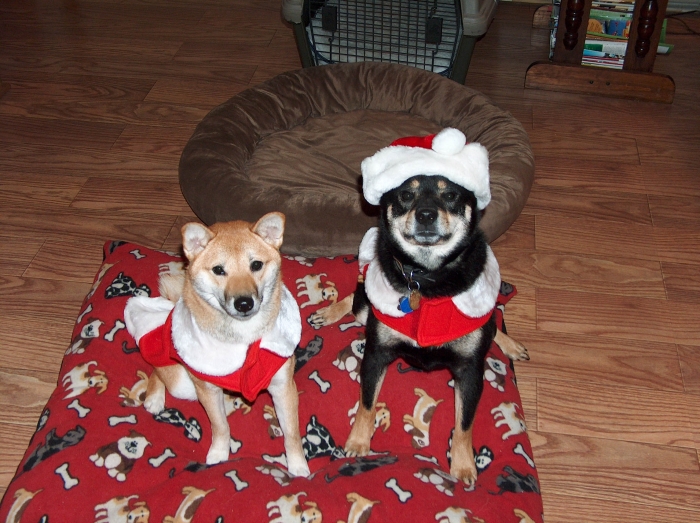 Christmas