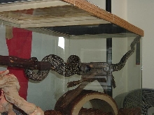 delila roaming around
