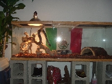 delila ''hanging around''