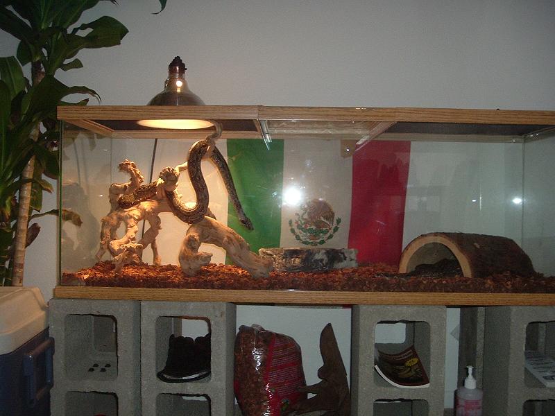 delila ''hanging around''