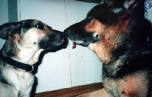 The SMOOCH!