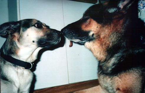 The SMOOCH!