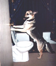 Nikko going... well you know!