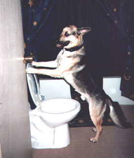 Nikko going... well you know!