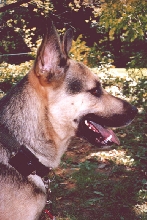 Nikko